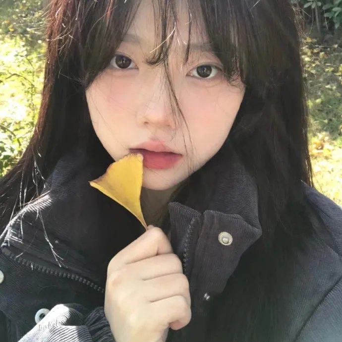 孔雀王子
