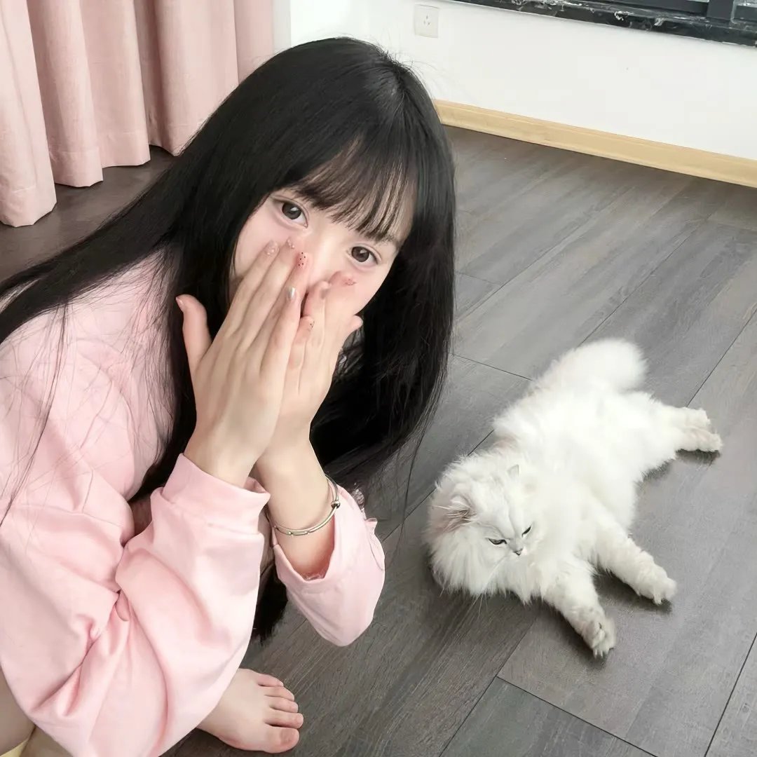 赛马娘第二季