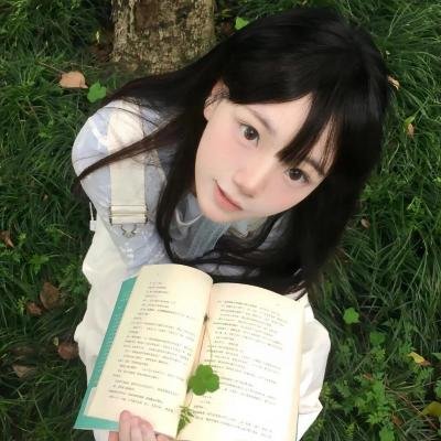 风尘奇侠